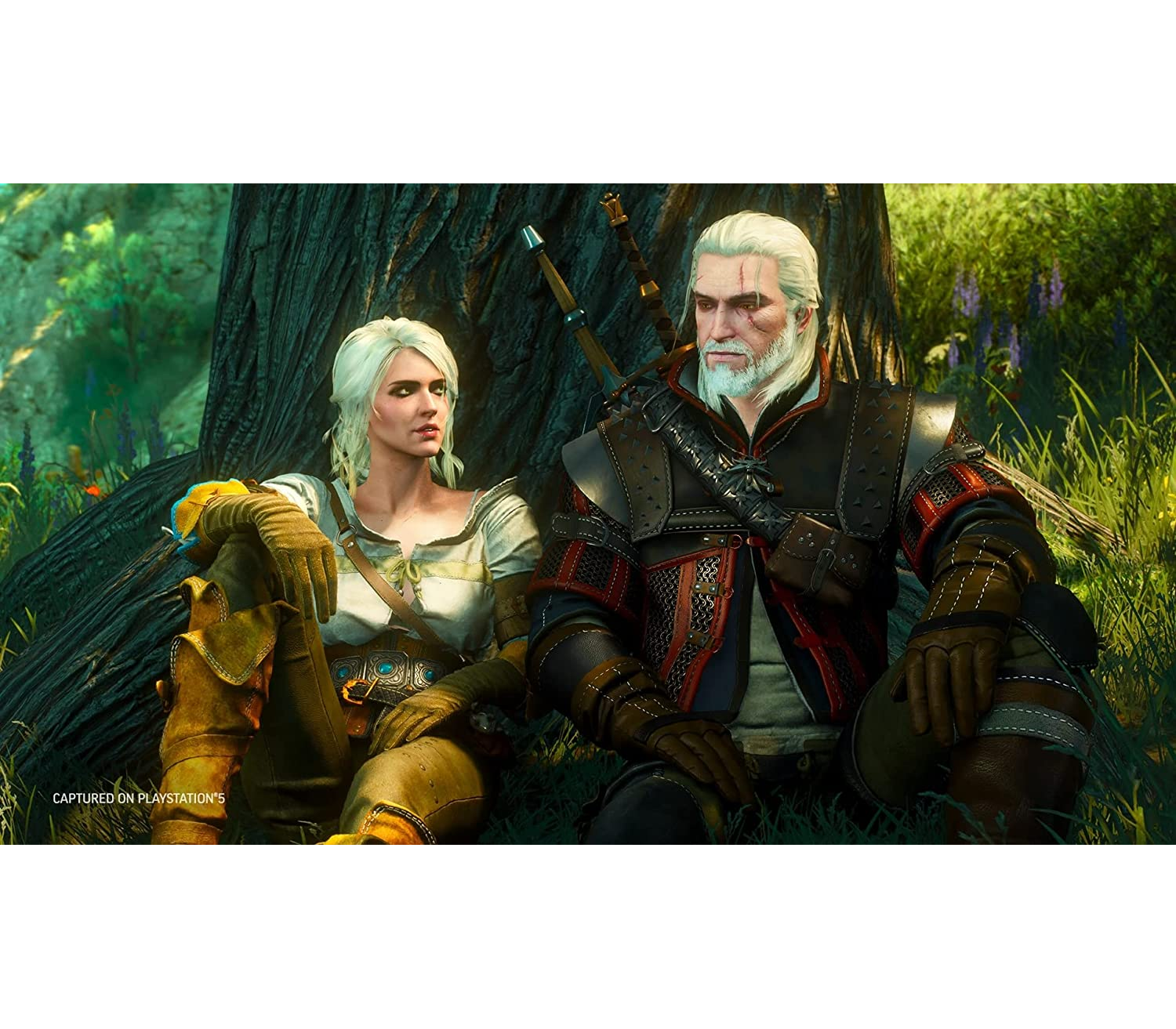  The Witcher 3: Wild Hunt Complete Edition - PlayStation 5 : Whv  Games: Video Games